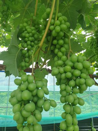 신태상님의 🎉상반기 결산 자랑하기 · 참여글 작성글 사진