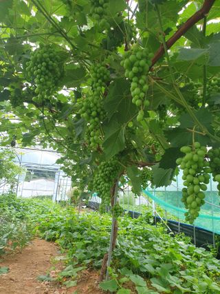 신태상님의 🎉상반기 결산 자랑하기 · 참여글 작성글 사진