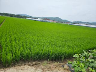 이상철님의 🎉상반기 결산 자랑하기 · 참여글 작성글 사진