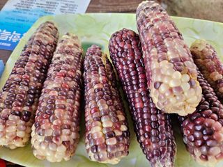 최선희님의 🎉상반기 결산 자랑하기 · 참여글 작성글 사진