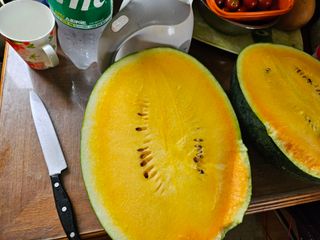 최선희님의 🎉상반기 결산 자랑하기 · 참여글 작성글 사진