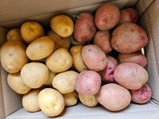 최선희님의 🎉상반기 결산 자랑하기 · 참여글 작성글 사진