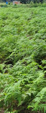 팜모닝 🎉상반기 결산 자랑하기·참여글 게시글 이미지