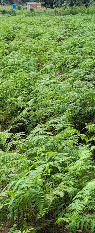 새마을님의 🎉상반기 결산 자랑하기 · 참여글 작성글 사진