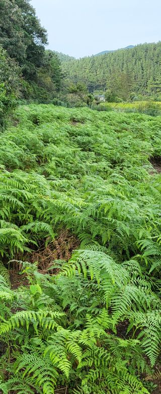 새마을님의 🎉상반기 결산 자랑하기 · 참여글 작성글 사진