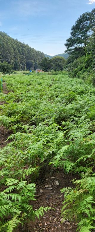 새마을님의 🎉상반기 결산 자랑하기 · 참여글 작성글 사진