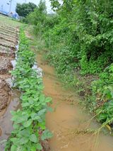 팜모닝 농사, 무엇이든 물어보세요!·참여글 게시글 이미지