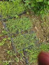 팜모닝 🎉상반기 결산 자랑하기·참여글 게시글 이미지