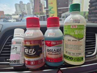 김해시 주말농부님의 최고의 제초제는 무엇인가요?🌿 · 참여글 작성글 사진