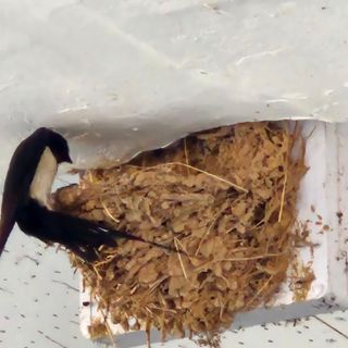 참다래님의 🎉상반기 결산 자랑하기 · 참여글 작성글 사진