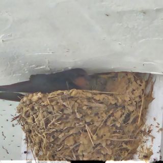 참다래님의 🎉상반기 결산 자랑하기 · 참여글 작성글 사진