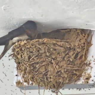 참다래님의 🎉상반기 결산 자랑하기 · 참여글 작성글 사진