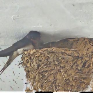 참다래님의 🎉상반기 결산 자랑하기 · 참여글 작성글 사진