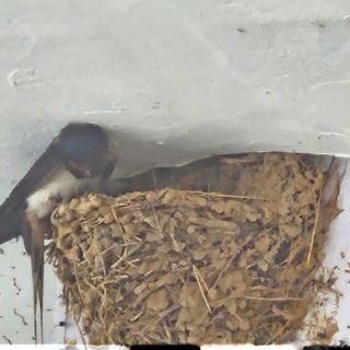 참다래님의 🎉상반기 결산 자랑하기 · 참여글 작성글 사진