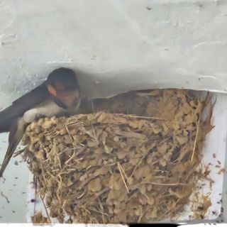 참다래님의 🎉상반기 결산 자랑하기 · 참여글 작성글 사진