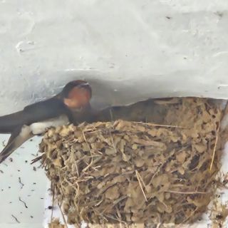 참다래님의 🎉상반기 결산 자랑하기 · 참여글 작성글 사진