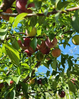 박희영님의 🎉상반기 결산 자랑하기 · 참여글 작성글 사진