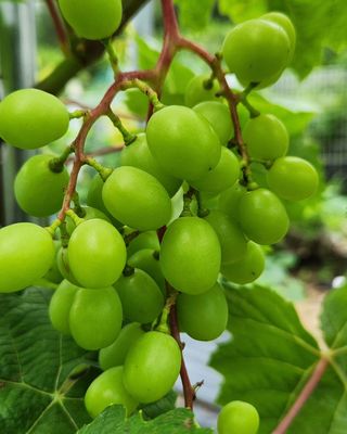 박희영님의 🎉상반기 결산 자랑하기 · 참여글 작성글 사진