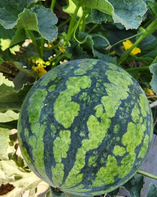 박희영님의 🎉상반기 결산 자랑하기 · 참여글 작성글 사진