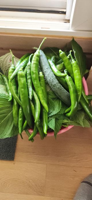 박희영님의 🎉상반기 결산 자랑하기 · 참여글 작성글 사진