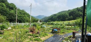 박희영님의 🎉상반기 결산 자랑하기 · 참여글 작성글 사진