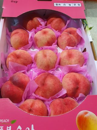 유선경님의 자유주제 · 자유게시판 작성글 사진