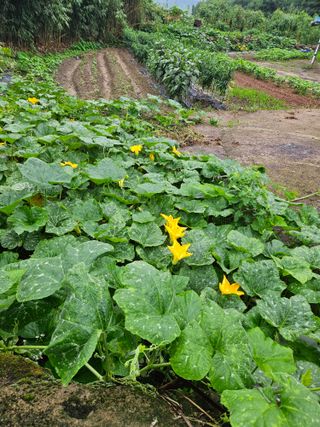 김형선님의 🎉상반기 결산 자랑하기 · 참여글 작성글 사진