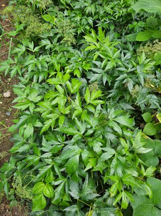 김형선님의 🎉상반기 결산 자랑하기 · 참여글 작성글 사진