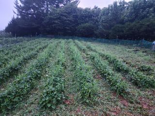 심순보님의 🎉상반기 결산 자랑하기 · 참여글 작성글 사진