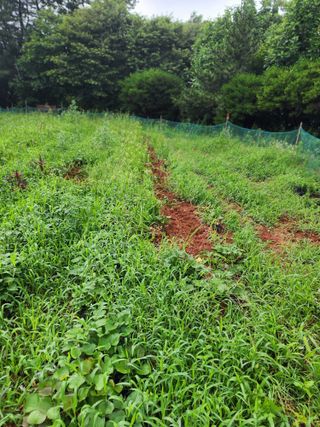 심순보님의 🎉상반기 결산 자랑하기 · 참여글 작성글 사진