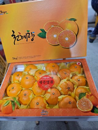 괸돌농원님의 🎉상반기 결산 자랑하기 · 참여글 작성글 사진