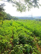 팜모닝 🎉상반기 결산 자랑하기·참여글 게시글 이미지