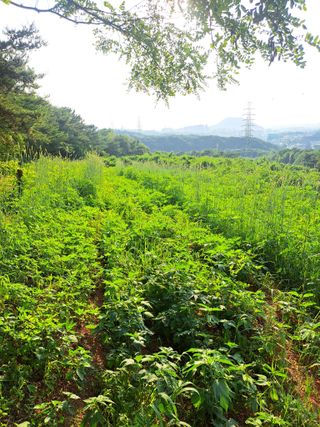 한병인님의 🎉상반기 결산 자랑하기 · 참여글 작성글 사진