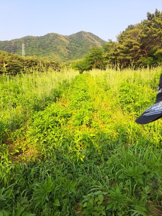 한병인님의 🎉상반기 결산 자랑하기 · 참여글 작성글 사진
