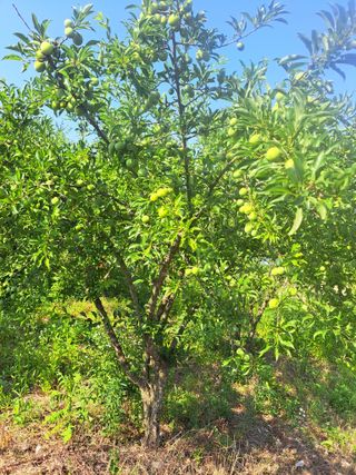 한병인님의 🎉상반기 결산 자랑하기 · 참여글 작성글 사진