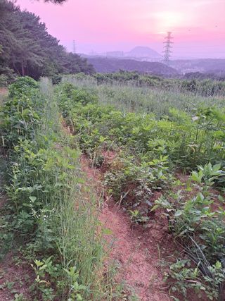 한병인님의 🎉상반기 결산 자랑하기 · 참여글 작성글 사진