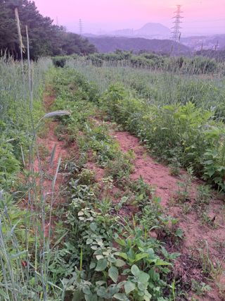 한병인님의 🎉상반기 결산 자랑하기 · 참여글 작성글 사진