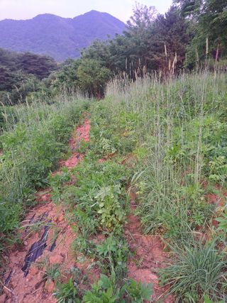 한병인님의 🎉상반기 결산 자랑하기 · 참여글 작성글 사진