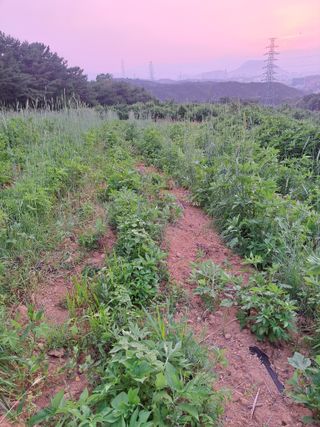 한병인님의 🎉상반기 결산 자랑하기 · 참여글 작성글 사진