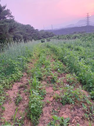 한병인님의 🎉상반기 결산 자랑하기 · 참여글 작성글 사진