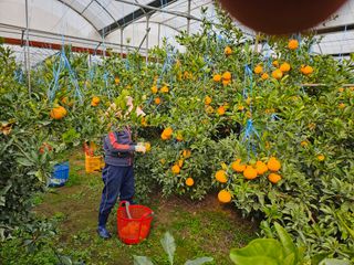 괸돌농원님의 🎉상반기 결산 자랑하기 · 참여글 작성글 사진