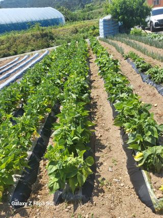 철종님의 🎉상반기 결산 자랑하기 · 참여글 작성글 사진