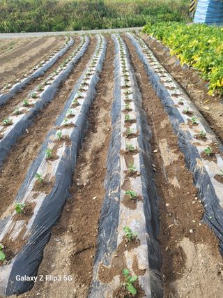 철종님의 🎉상반기 결산 자랑하기 · 참여글 작성글 사진