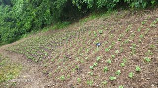 이영기님의 🎉상반기 결산 자랑하기 · 참여글 작성글 사진