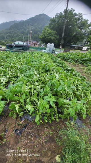 이영기님의 🎉상반기 결산 자랑하기 · 참여글 작성글 사진