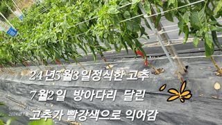 이영기님의 🎉상반기 결산 자랑하기 · 참여글 작성글 사진