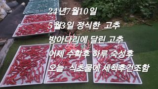 이영기님의 🎉상반기 결산 자랑하기 · 참여글 작성글 사진