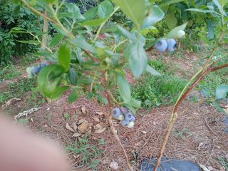 손용일님의 🎉상반기 결산 자랑하기 · 참여글 작성글 사진