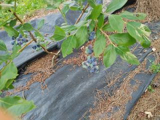 손용일님의 🎉상반기 결산 자랑하기 · 참여글 작성글 사진