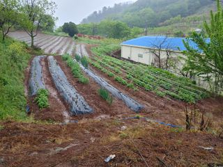 손용일님의 🎉상반기 결산 자랑하기 · 참여글 작성글 사진